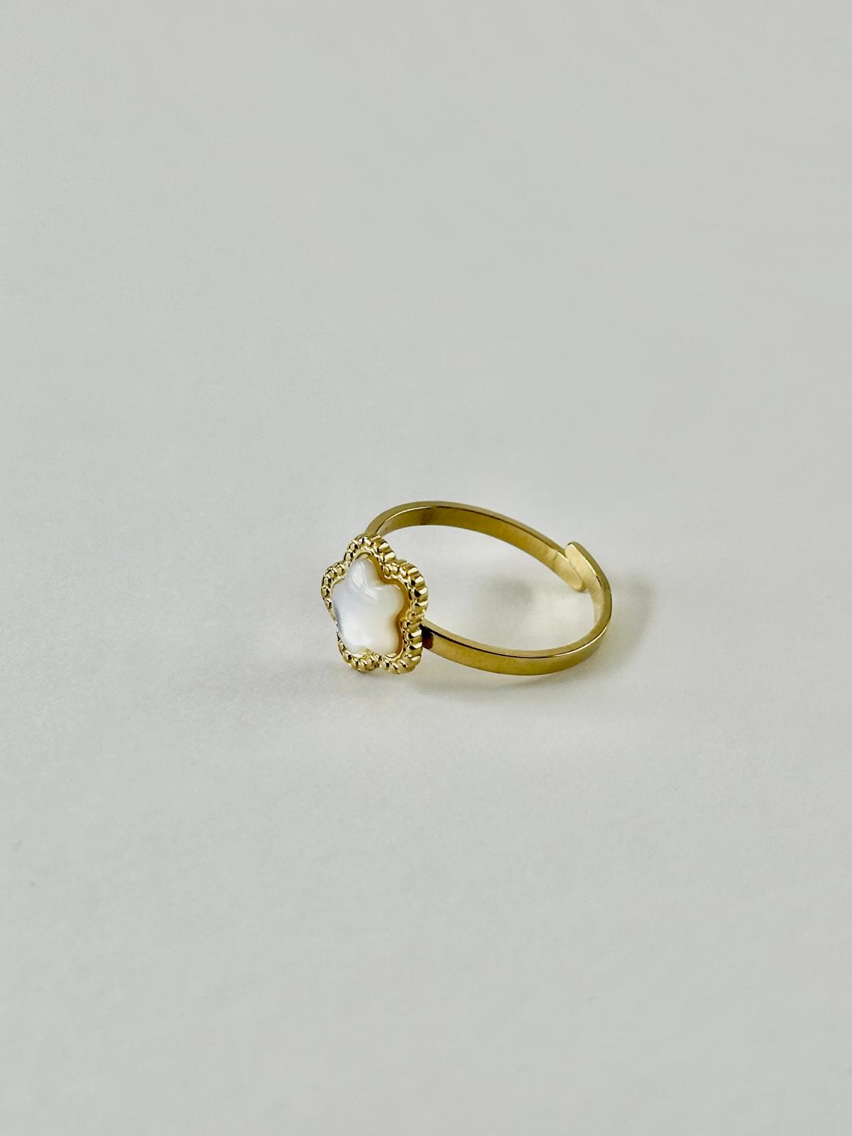 Anillo