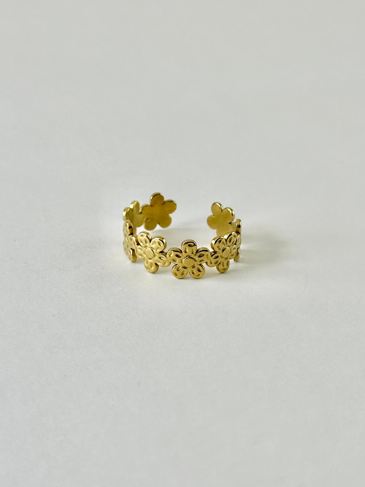 Anillo