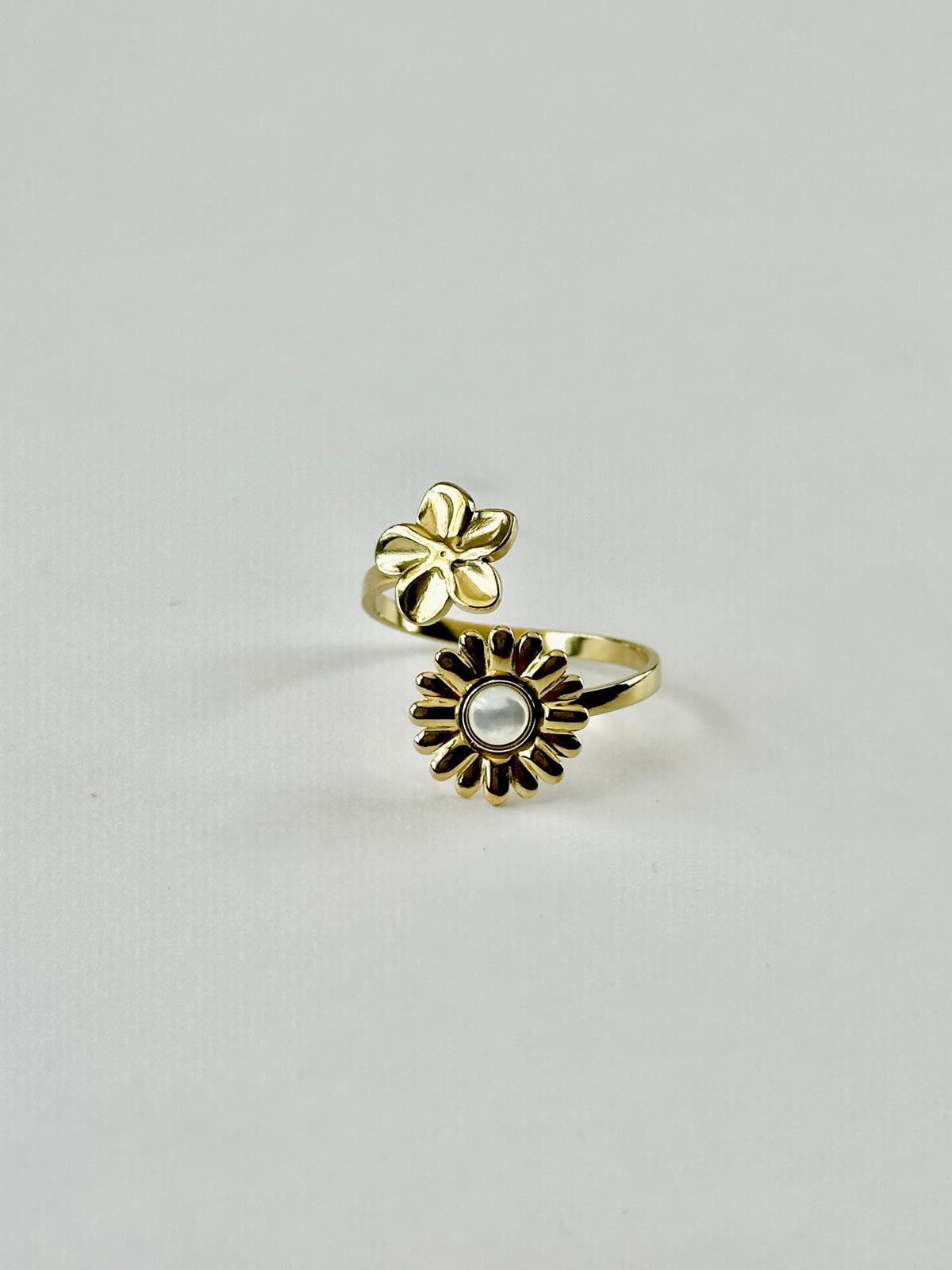 Anillo